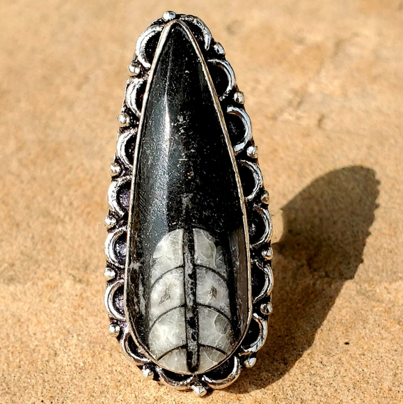 New Orthoceras Fossil Silver Ring. - Picture 1 of 6